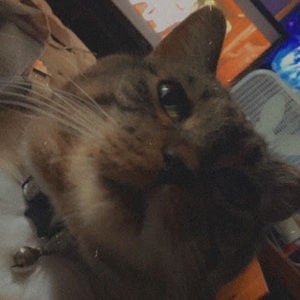 Meet your Posher, Kaitlyn